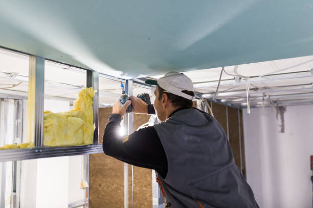 Professional Insulation Contractor in Cedar Hills, UT