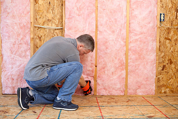 Best Blown-in Insulation in Cedar Hills, UT