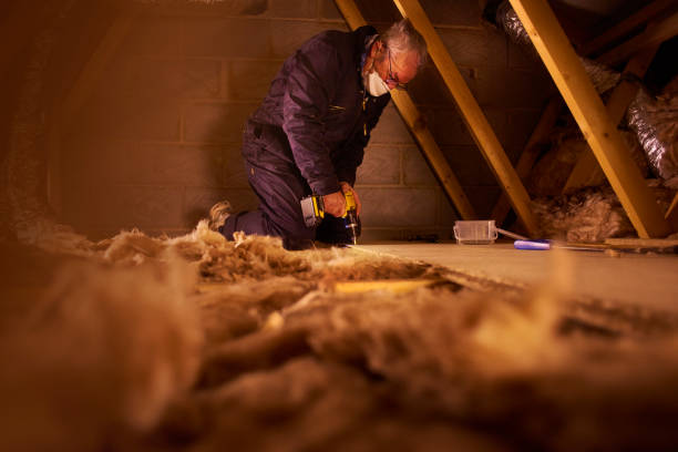 Best Geographic-Specific Insulation Services in Cedar Hills, UT